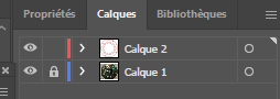 Détail du panneau Calques de Illustrator CC 2021 avec un calque verrouillé et un autre non verrouillé